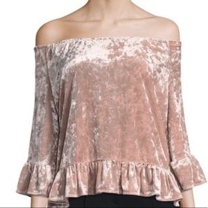 ANTHROPOLOGIE SANCTUARY Julia Velvet Blush Top, M